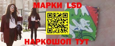 Альфа ПВП Кандалакша