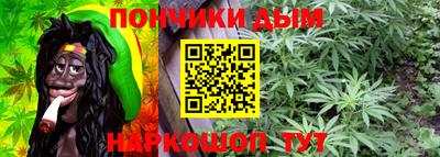 Альфа ПВП Кандалакша