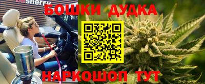 apvp Канаш