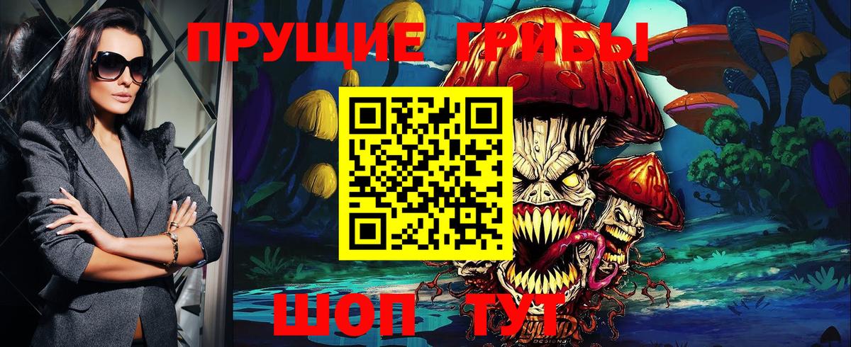 Гусиноозёрск  Галлюциногенные грибы Cubensis  Вход с VPN 